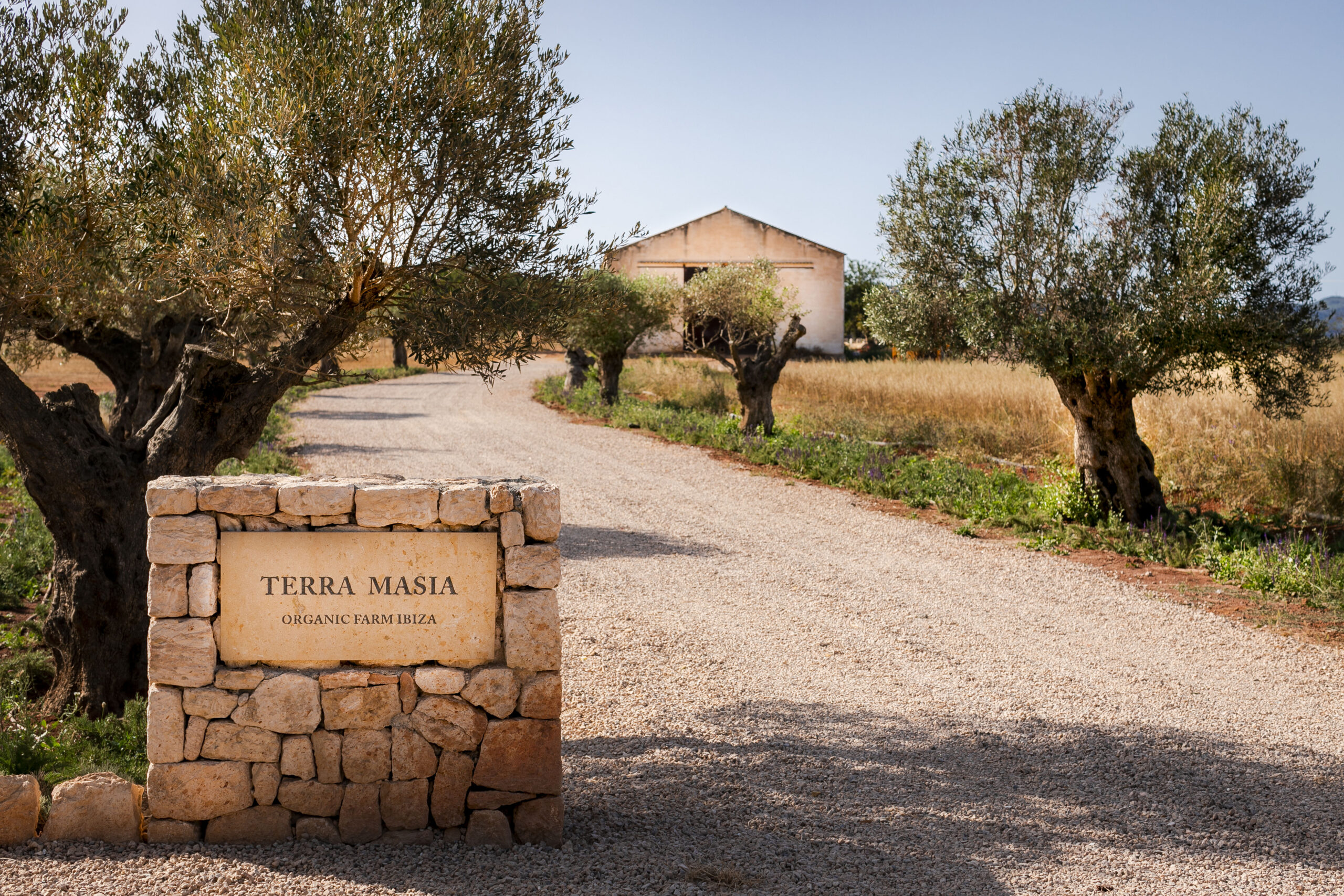 aguas-de-ibiza-2025-finca-ecologica-terra-masia aguas-de-ibiza-2025-finca-ecologica-terra-masia